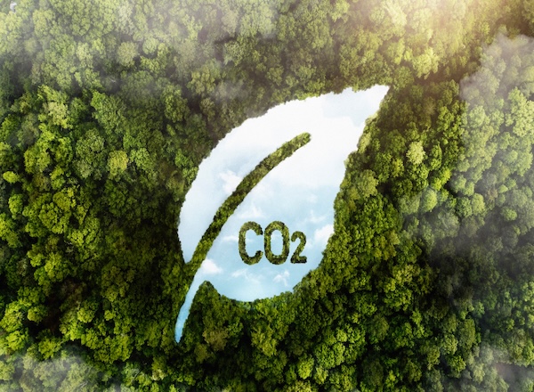 Carbon Offset Calculations